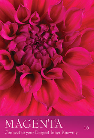 Secret Language of Colour Cards (Inna Segal)