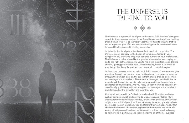 Messages In The Numbers Book (Alana Fairchild)