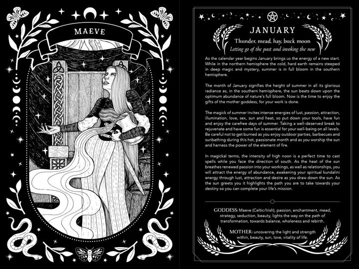 2027 Witch's Southern Hemisphere Diary (Flavia Kate Peters & Barbara Meiklejohn-Free)
