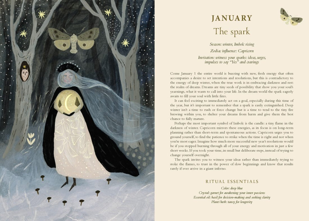 2027 Seasons of The Witch Planner (Lorriane Anderson)