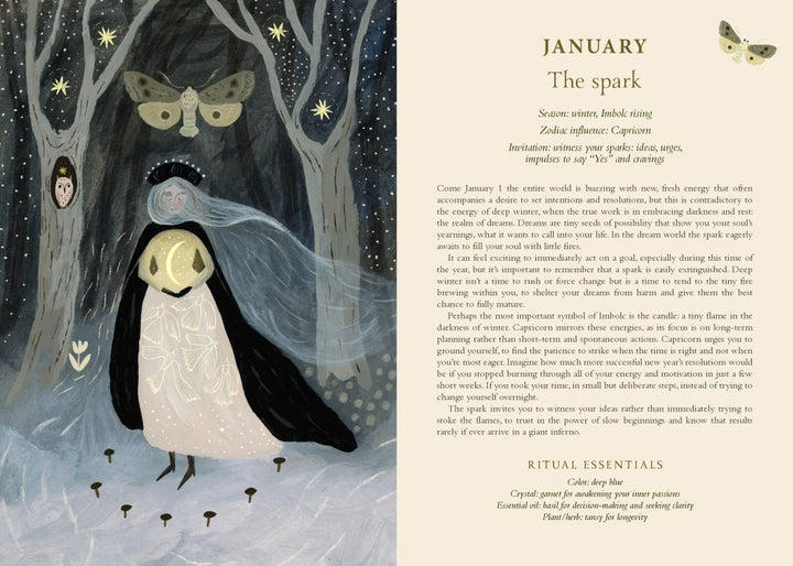2027 Seasons of The Witch Planner (Lorriane Anderson)