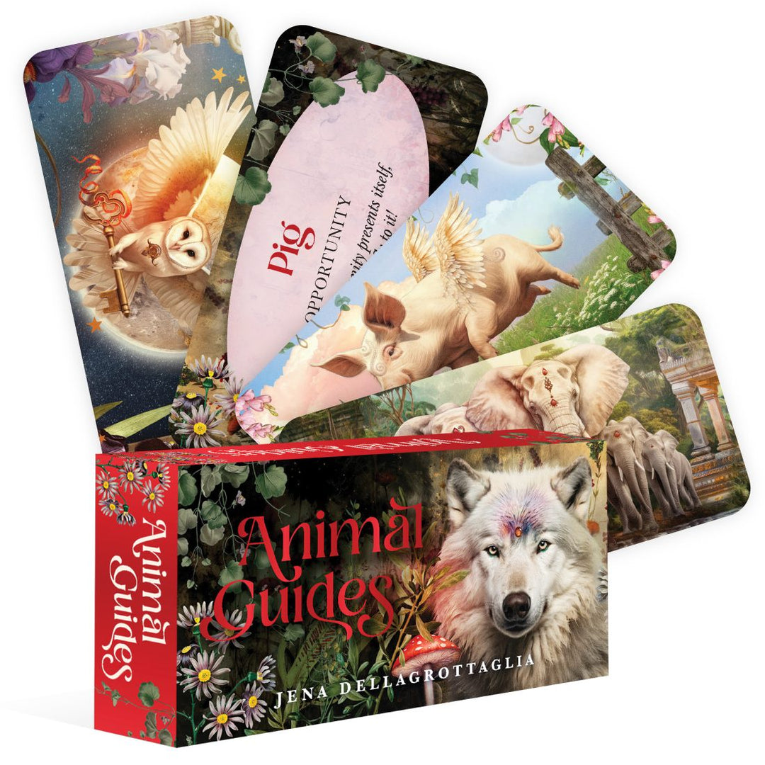 Animal Guides Mini Cards (JENA DELLAGROTTAGLIA)