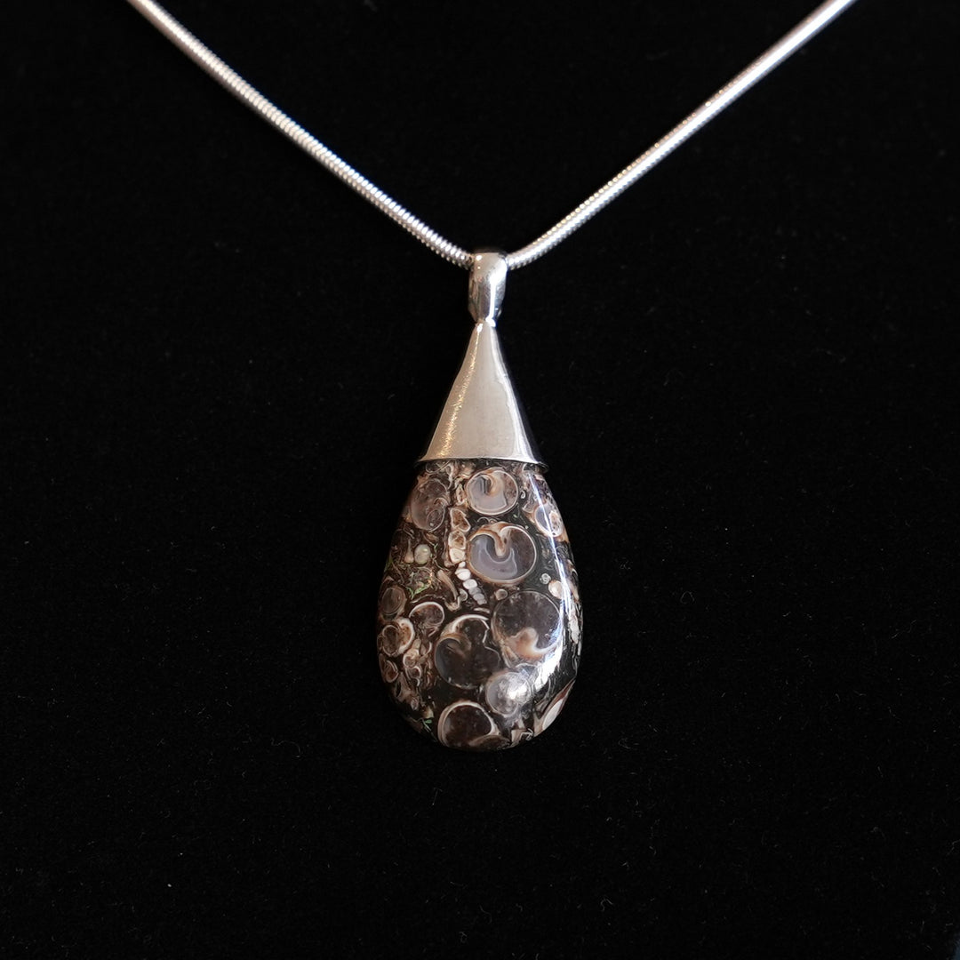 Turritella Agate Pendant