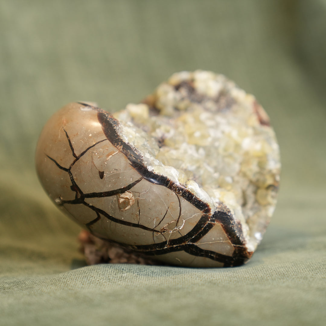Septarian Heart