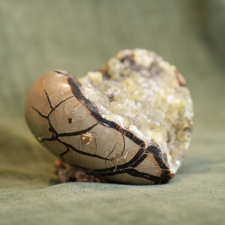 Septarian Heart
