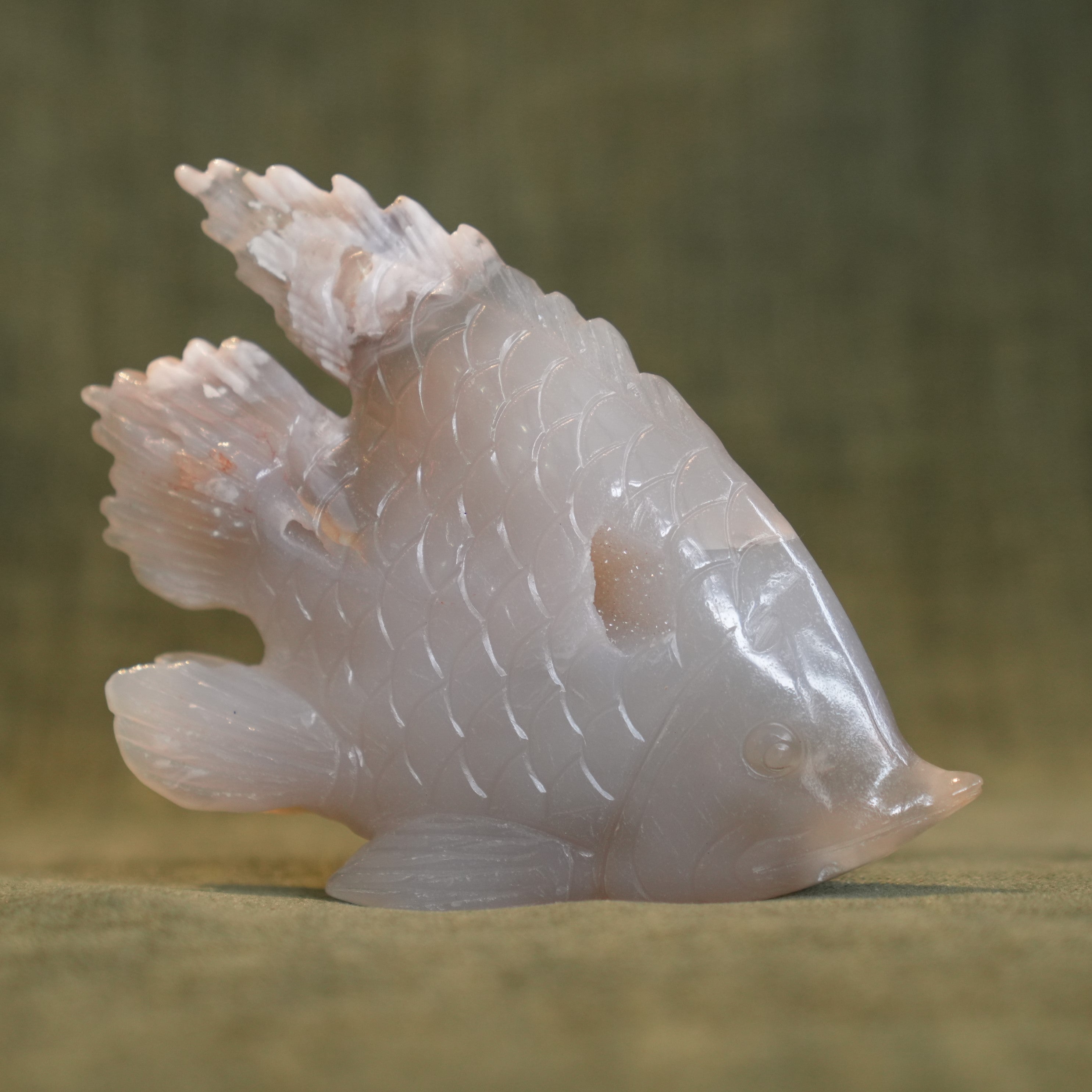 Agate Fish 2 – Primal Healing