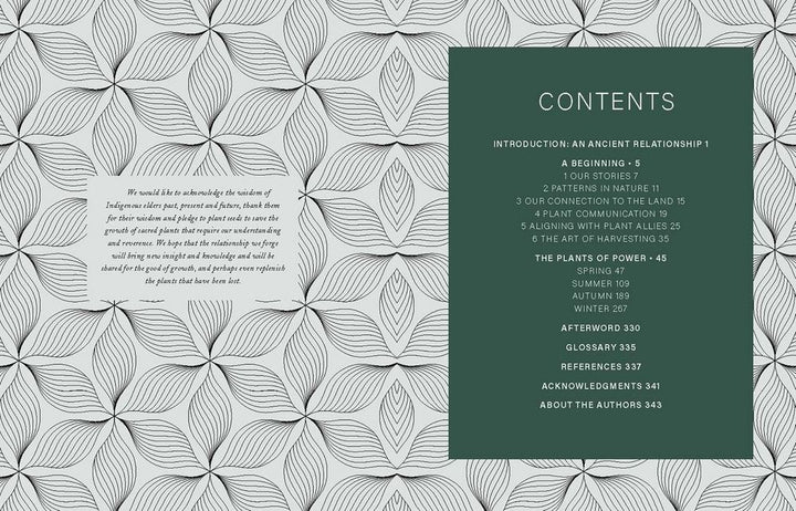 Plants of Power Book (Stacey Demarco & Miranda Mueller)