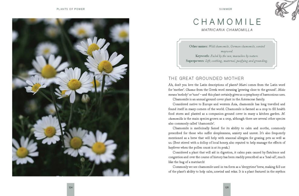 Plants of Power Book (Stacey Demarco & Miranda Mueller)