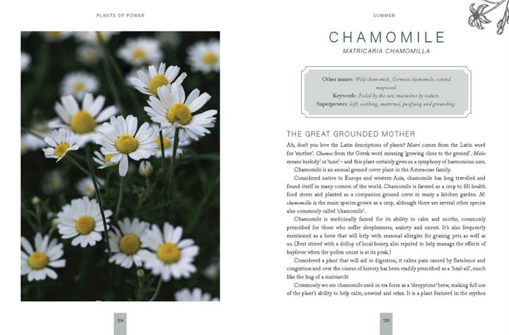 Plants of Power Book (Stacey Demarco & Miranda Mueller)