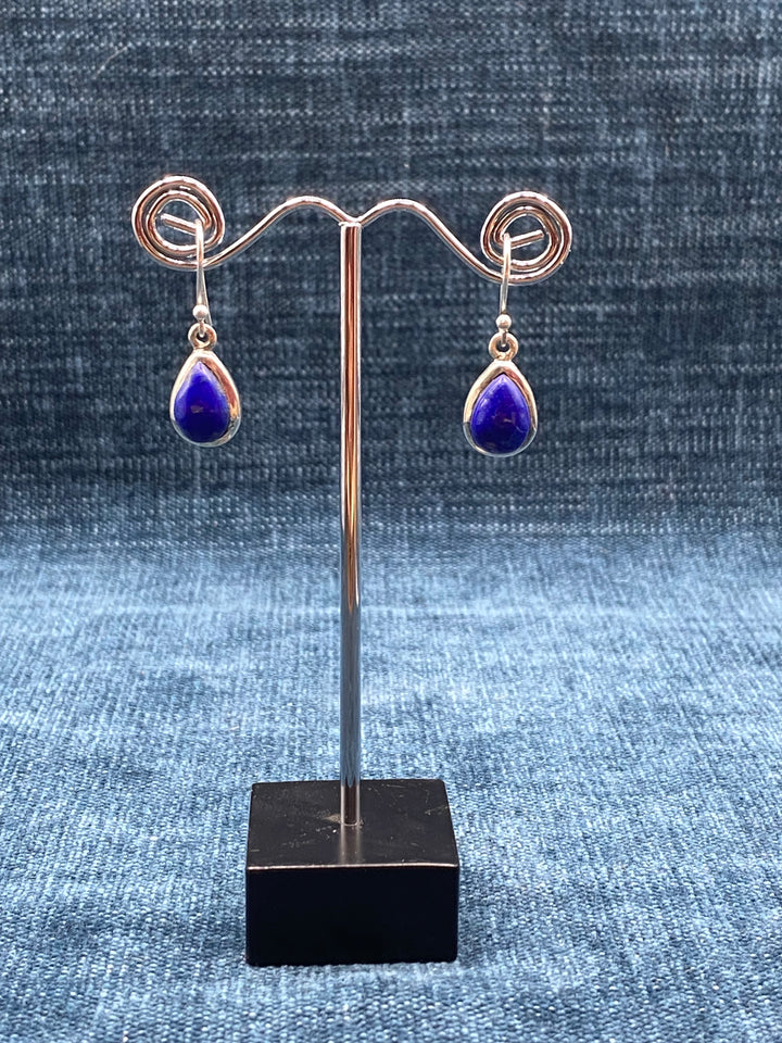 Various Dangle Earrings