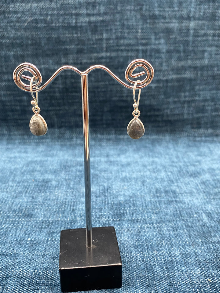 Teardrop Crystal Dangle Earrings