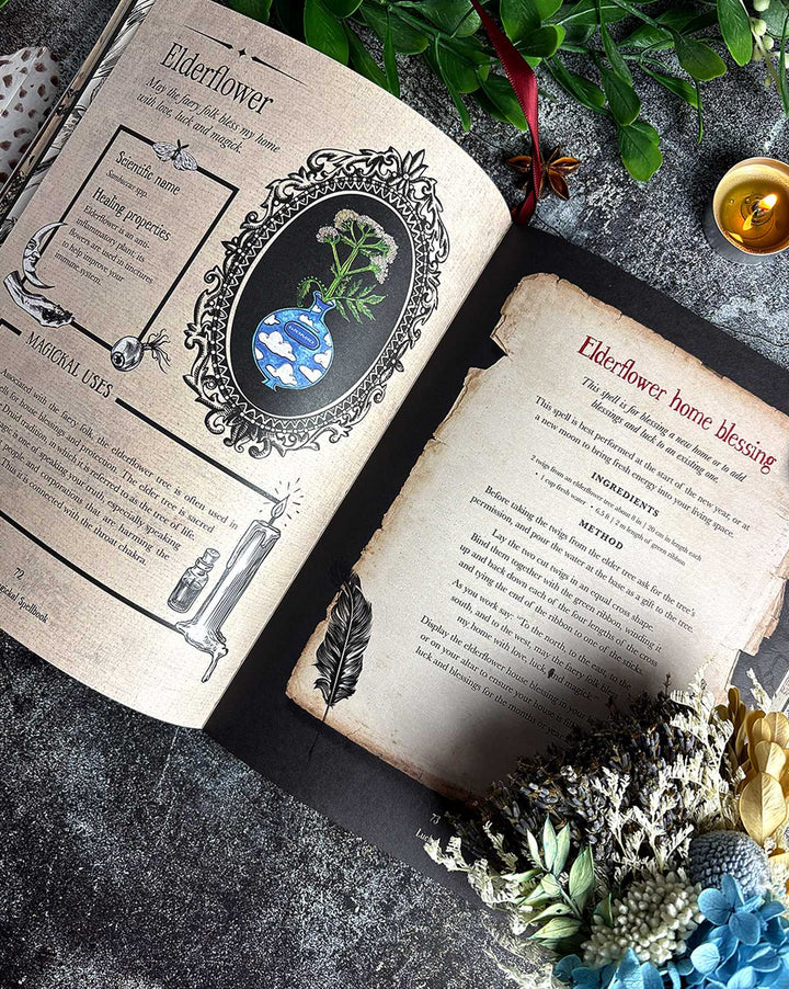 Witch's Magickal Spellbook (Priestess Moon)