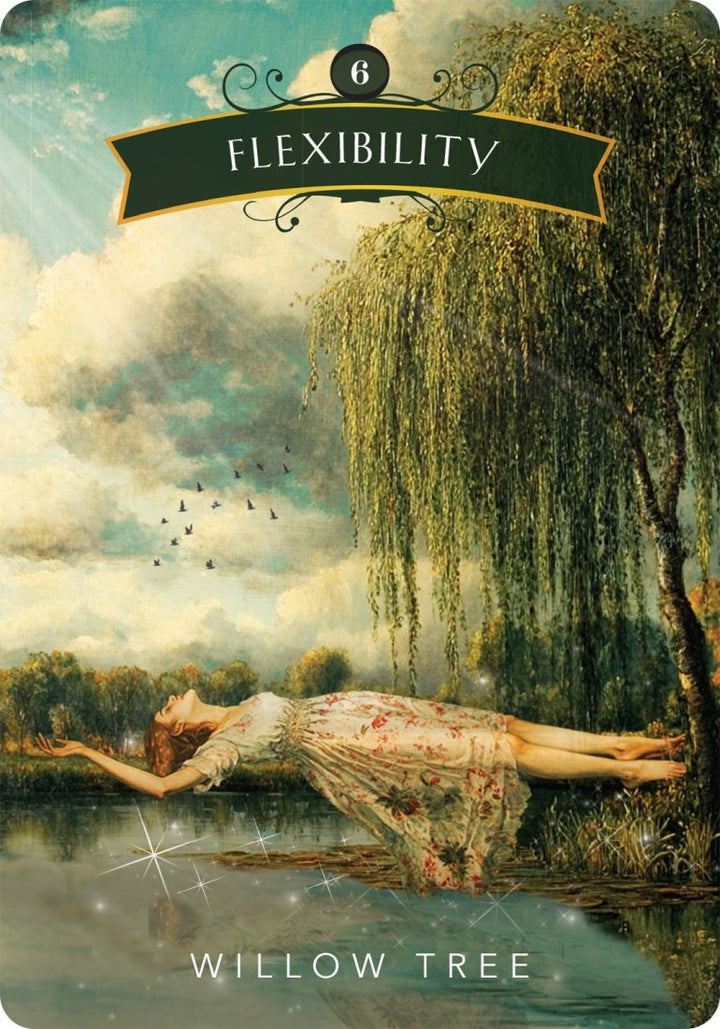 The Mystical Garden Oracle Cards (Denise Linn)