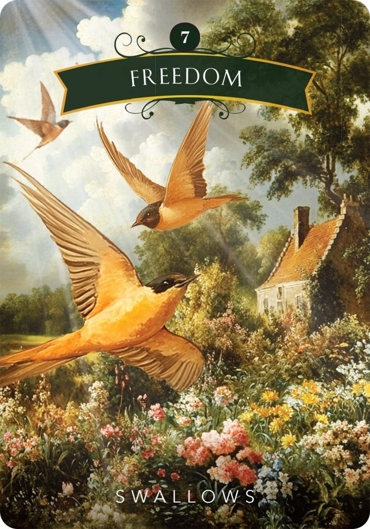 The Mystical Garden Oracle Cards (Denise Linn)