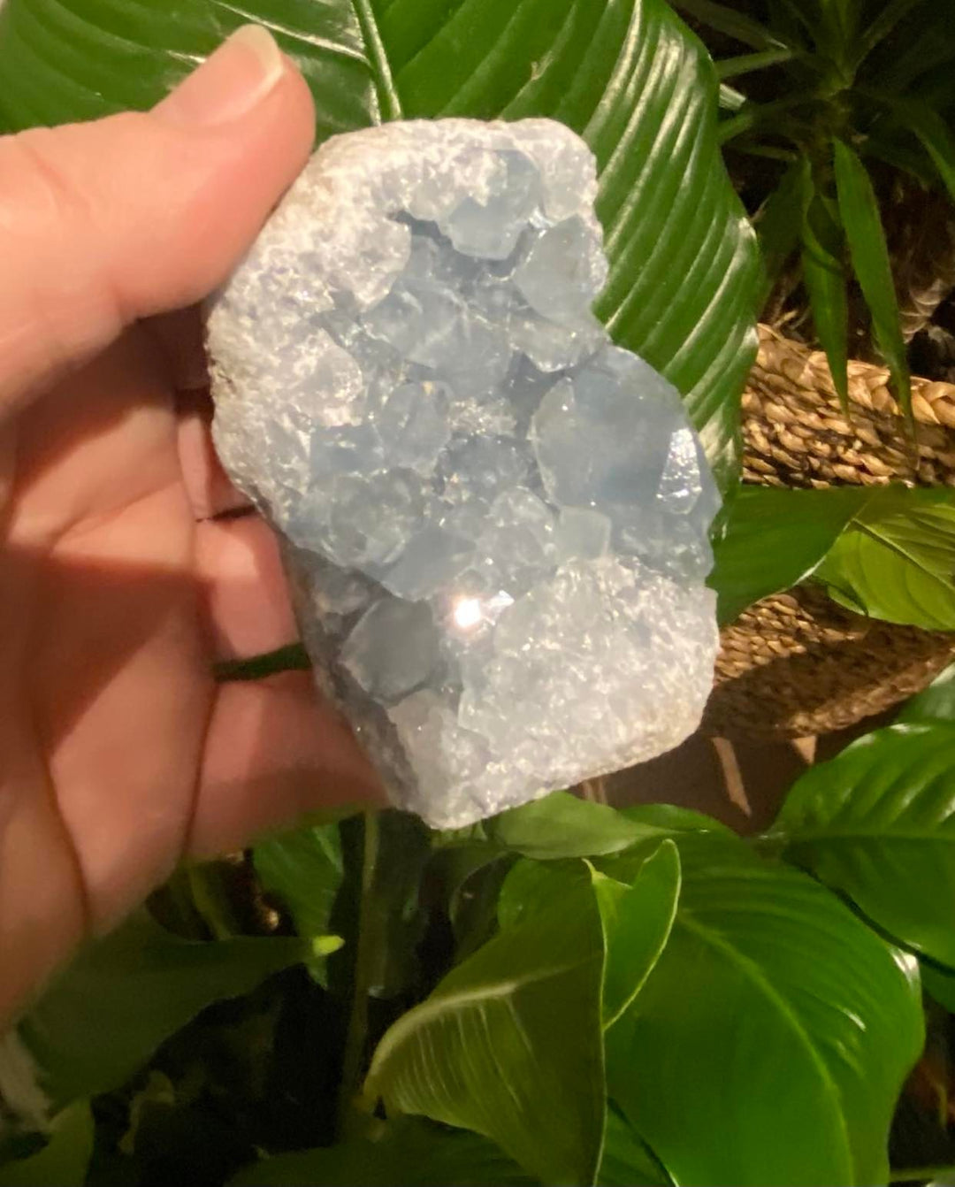 Celestite Cluster